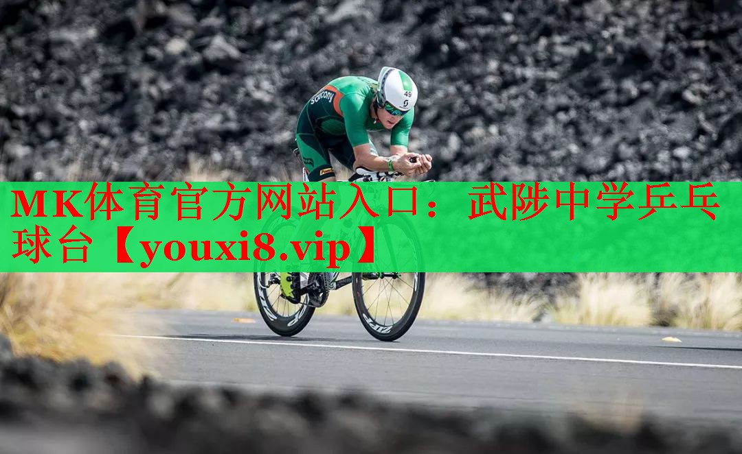 MK体育官方网站入口：武陟中学乒乓球台