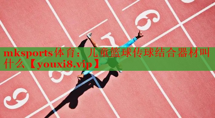 儿童篮球传球结合器材叫什么