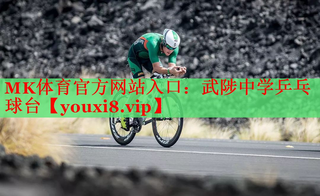 武陟中学乒乓球台